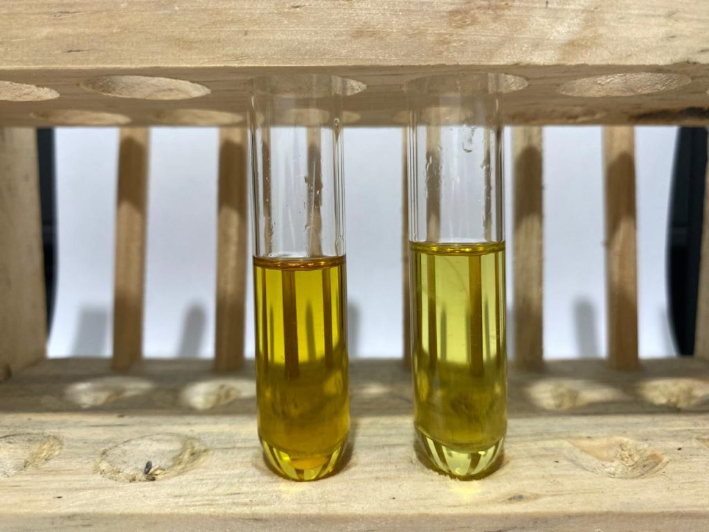 Side-by-side comparison of Patchouli Oil IF and Ultra IF for perfume formulation.